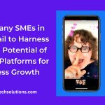 Why Many SMEs in Ghana Fail to Harness the True Potential of Internet Platforms for Business Growth